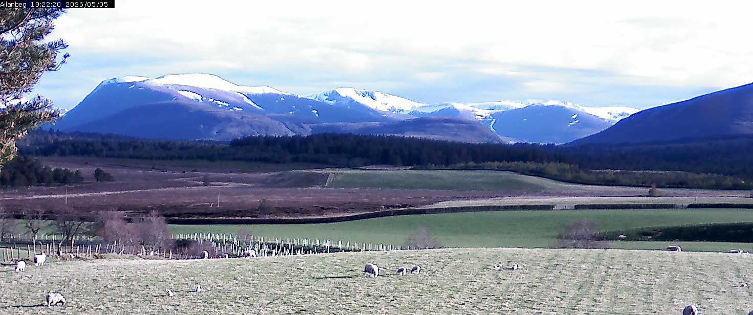 Ailanbeg Cam 1